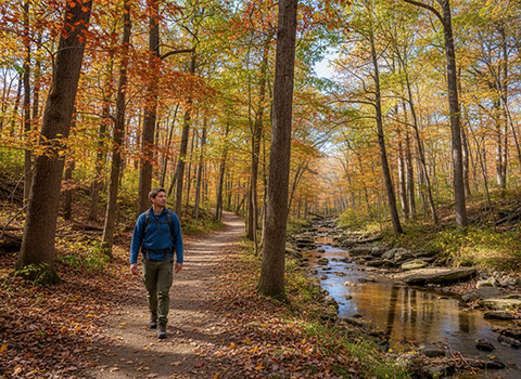 Alapocas Woods Trail